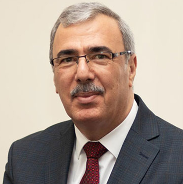 صورة الأستاذ الدكتور باسم حمادي